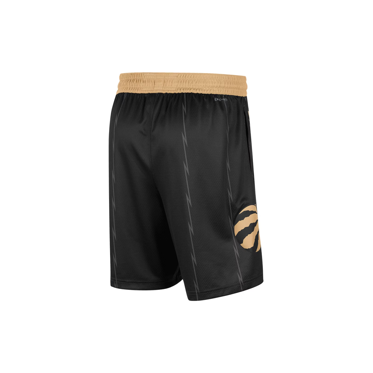 Nike NBA Toronto Raptors Swingman City Edition Dri-Fit Shorts