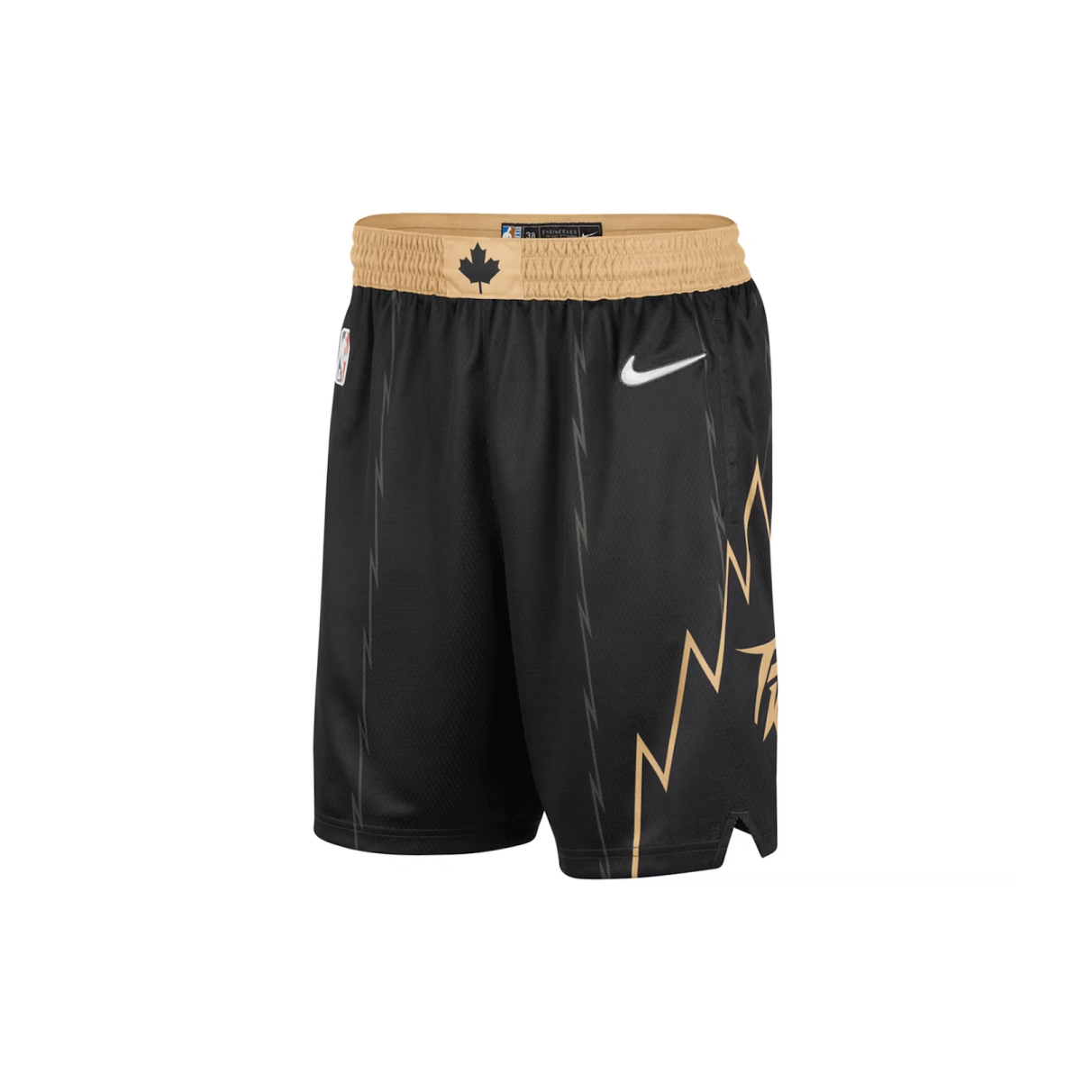 Nike NBA Toronto Raptors Swingman City Edition Dri-Fit Shorts